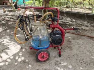 للبيع حلابة تركيه