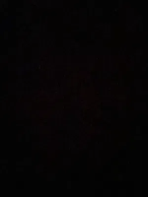 رغد شاهر الدويك 