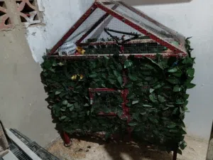مطير ملبس شبكين وباب مع فصليات كلو حديد