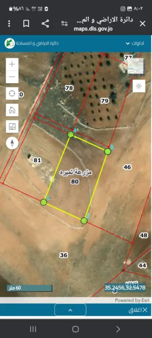 Farm Land for Sale in Irbid An-Nuayyimah