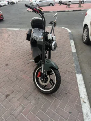 CRONY harley  X1 Electric Scooter
