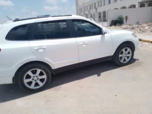 سنتافي 2008