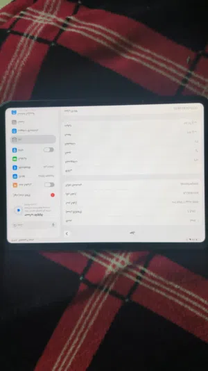 ipad pro m4 256gb