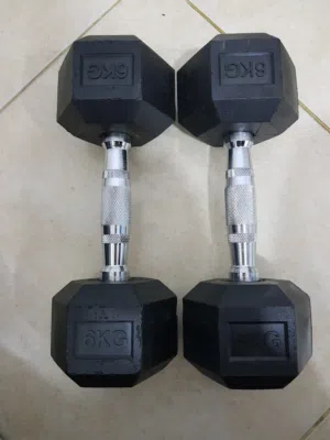 6KG 2Pcs Dumbbells