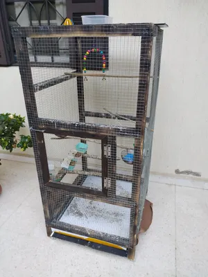 Accessories . Birds & Poultry0