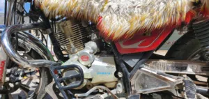 SYM . Citycom 300i . 19703