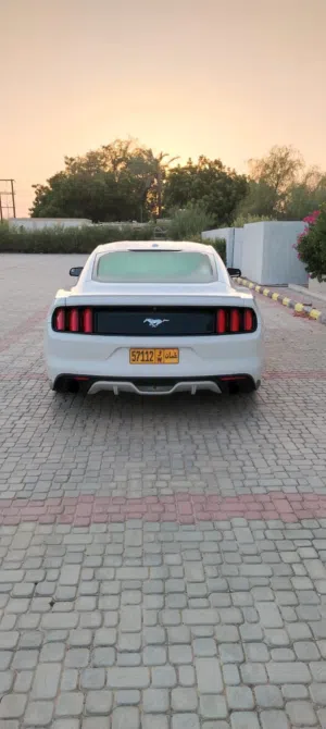 Used Ford Mustang in Al Batinah