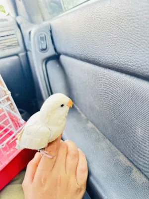 روز مروض ربي يبارك
