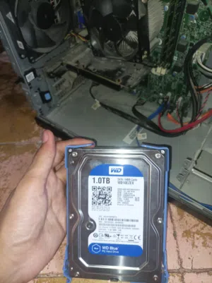 هارد WD Blue 1TB للبيع