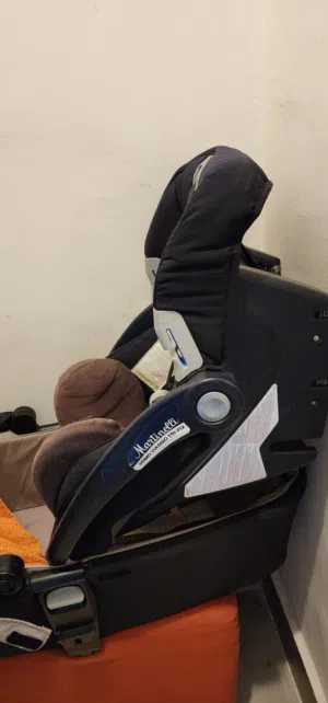 Car Seat (Martinelli brand)
