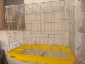 مطير معاكيف