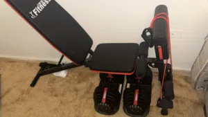 دمبل و بينش