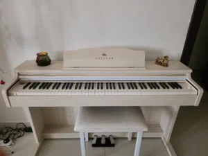Digital piano, brand -Steinway