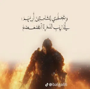 Used Hyundai Verna in Tripoli