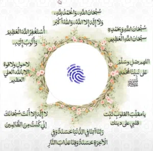 مالك 