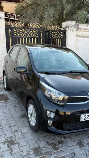 New Kia Picanto in Basra