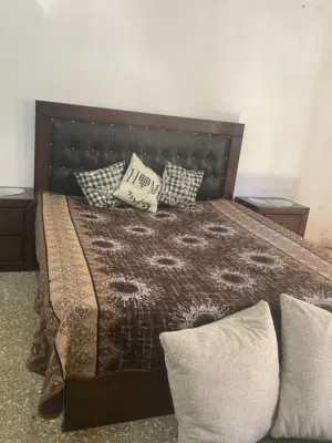 حمزه شاهين