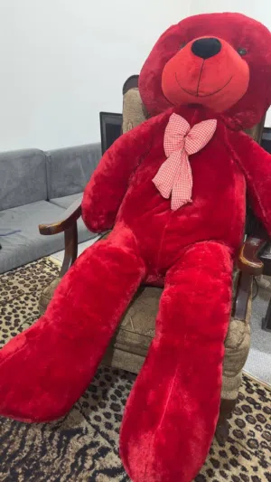 دبدوب جديد