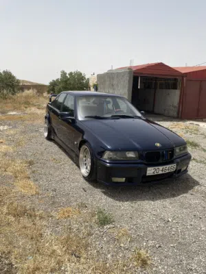 بس ام وطواط