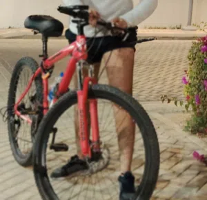 بسكليت جلنت