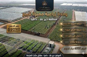 إعلان رقم (7212) فرصة استثمارية زراعية كبرى للبيع