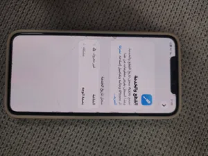 Apple iPhone 11 Pro Max 256 GB in Amman