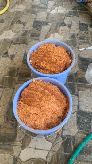 يتوفر مالح حبسة لحق ماتلحق