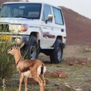 ابو عبدالله 