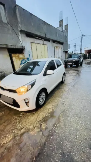 كيا بيكانتو 2022برخصه