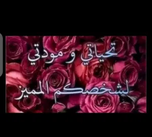 سمير شفيق 