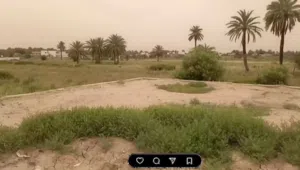 قطعه ارض زراعية