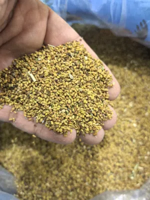 Others - Food - Supplements1