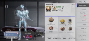 Pubg Accounts and Characters for Sale in Amman