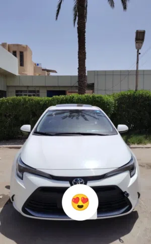 كورلا هايبرد خليجي 2023
