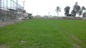 Mixed Use Land for Sale in Zagazig Other