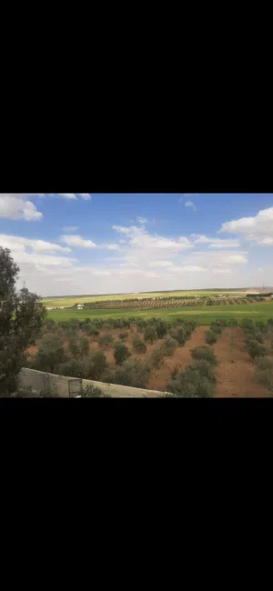 Mixed Use Land for Sale in Madaba Thiban