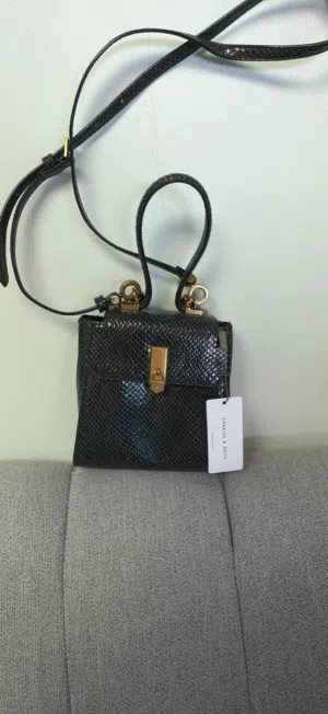 Charles & Keith bag