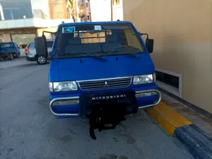 متشي ديليكا
