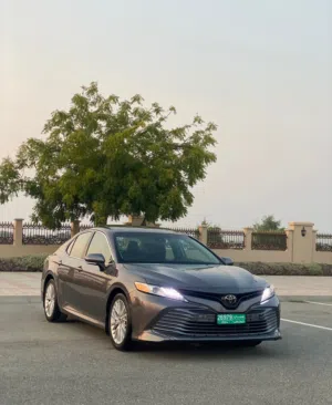 Used Toyota Camry in Muscat