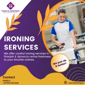 cleaning service