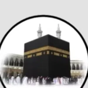 أبو ماجد 