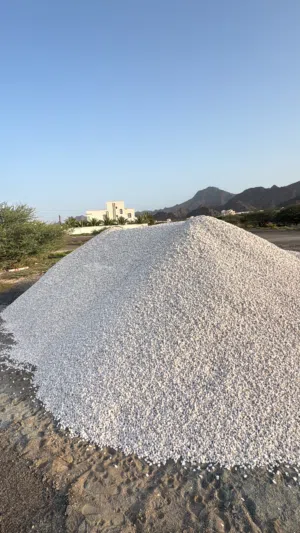البيع كنكري ابيضّ