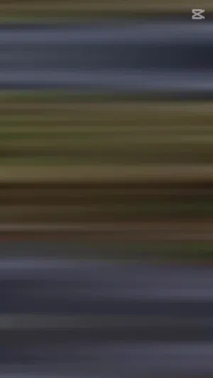 أكلات بيتنـا