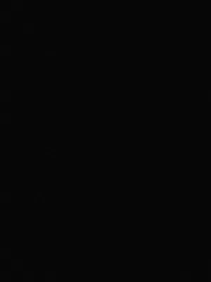 كادي-2018-ابيض