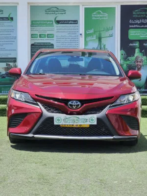 Used Toyota Camry in Muscat