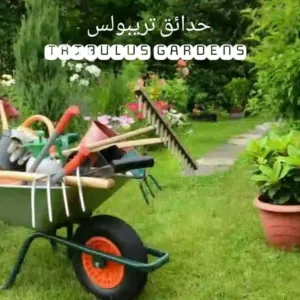 خدمات حصد وتنظيف المعشب والحديقة
