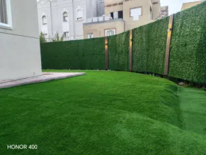 تنسيق حدائق الكويت