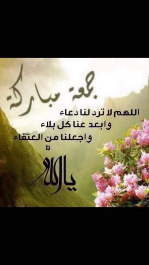 مشاركه سكن بالسالميه