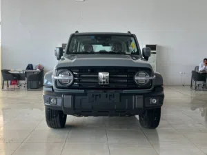 New Tank 300 in Al Riyadh