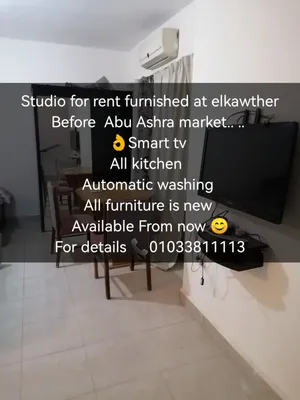 For daily and monthly rent furnished studio in the tourist walkway in El Kawthar